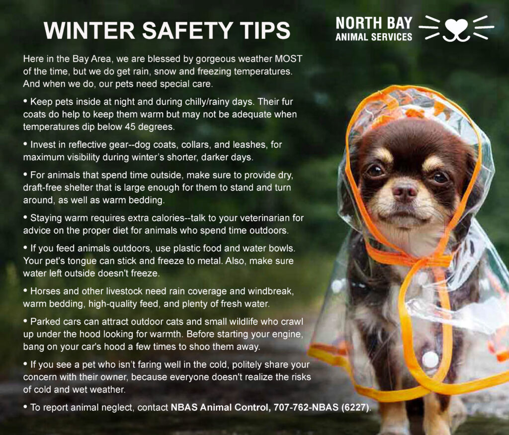 Winter Safety Tips |