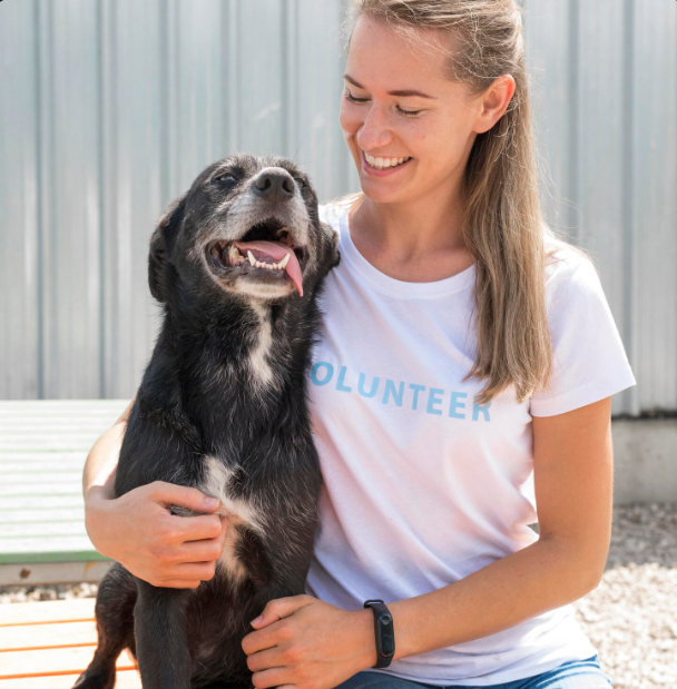 Animal Shelter Donations That Stay in Your Community