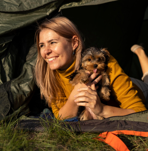 Support Animal Rescue Efforts Across the North Bay