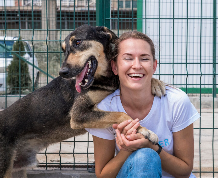 Donate to a No-Kill Shelter and Change a Life Forever